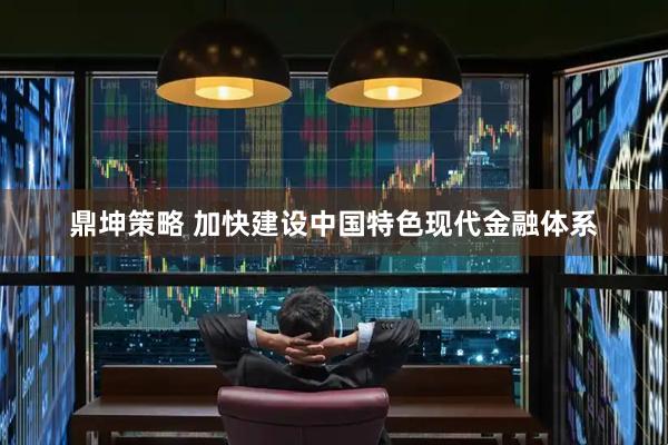 鼎坤策略 加快建设中国特色现代金融体系